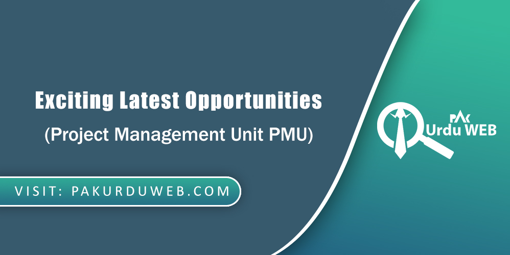 Project Management Unit PMU